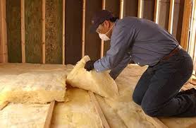 Best Eco-Friendly Insulation Solutions  in Lake Wazeecha, WI